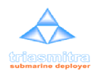 Logo DesignNewSoftware